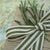 Sage and Cream Stripe Grosgrain Ribbon
