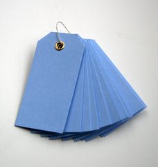 10 Powder Blue Eyelet Tags (small)
