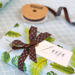 Chocolate Brown and Turquoise Dotty Ribbon