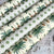 Palms and Pineapple Gift Wrapping Set