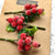 Red Faux Berry Pick Present Toppers (pack of 3)